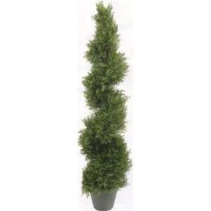   inch Cypress Spiral Topiary Tree in a Pot Topiary