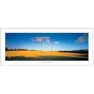  Chris Simpson   Great Meadow Size 20x8 Poster Print