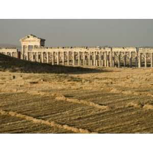 Archaelogical Site, Apamea (Qalat at Al Mudiq), Syria, Middle East 