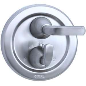 Cifial Shower Thermostatic Control 295.614.620, Satin Nickel