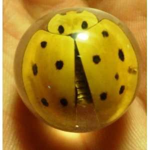  Real Ladybug Ladybird Beetle Marble Size Sphere Lucite 