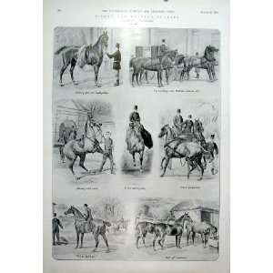   Riding & Driving Studies Old Print 1904 Sturgess Horse