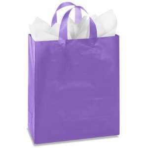  10 x 5 x 13 Purple Debbie Frosty Shoppers Health 