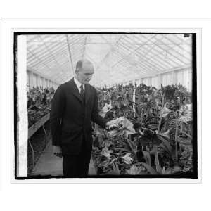   Print (M) Sec. Jardine at Amaryllis Show, [3/9/25]