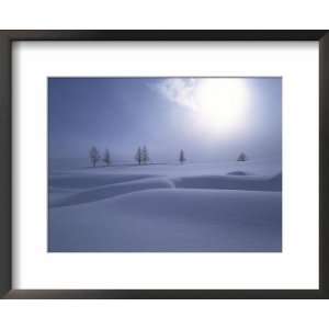  Late Winter Sun on Snow Covered Landscape with Conifer Trees 