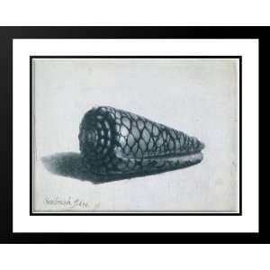   and Double Matted Cone Shell (Conus marmoreus)