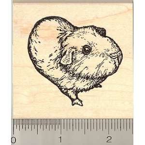  Guinea pig Rubber Stamp Arts, Crafts & Sewing