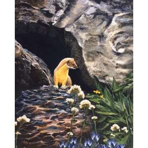   Kemp Springtime for Weasel   8.5x11 weasel print