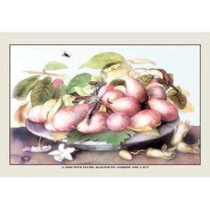  Paper poster printed on 20 x 30 stock. Dish of Plums, Nuts 