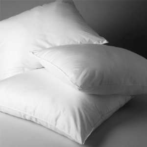  Restful Nights Egyptian Cotton Pillow   Standard/Queen 