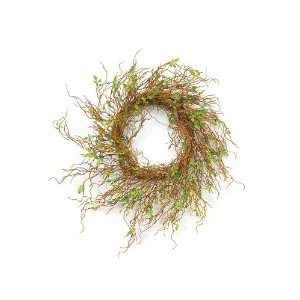 Pack of 2 Waters Edge Garden Willow Decorative Wreaths 18  