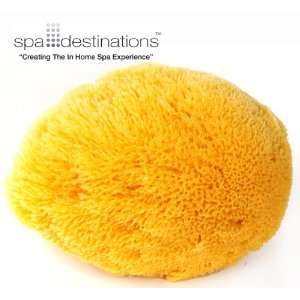 Natural Sea Sponge 6 7 by Spa Destinations Creating The In Home Spa 