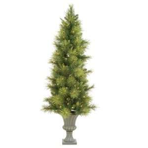    Sterling 4 1/2 Foot Pre Lit Potted Scotch Pine Tree