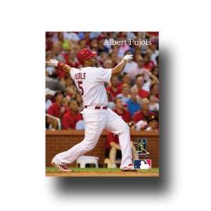  MLB St. Louis Cardinals Artissimo Albert Pujols 8x10 