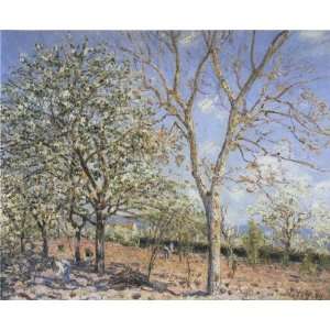 FRAMED oil paintings   Alfred Sisley   24 x 20 inches   Trees in Bloom