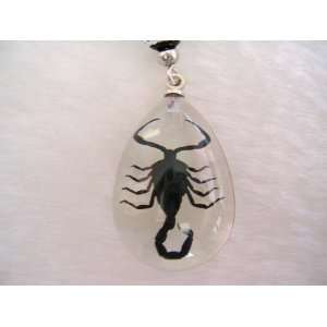  Real Black Scorpion Lucite Cellphone Charm Everything 