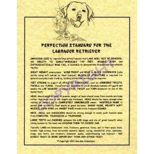  Labrador Retriever (Yellow) Standard