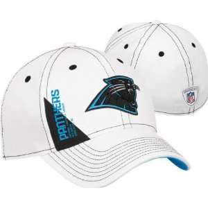  Carolina Panthers 2010 NFL Draft Hat