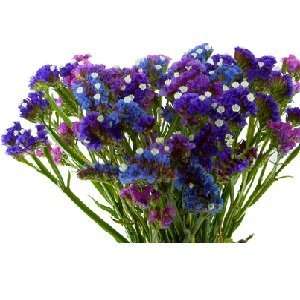  Violet Bouquet Type fragrance oil Beauty