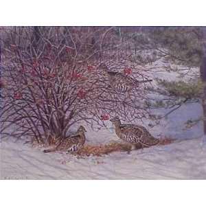  Owen Gromme   Trio of Ruffed Grouse