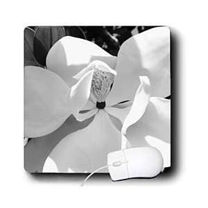  Florene Black n White   Magnolia B n W   Mouse Pads 