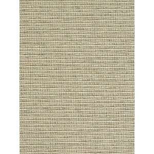  Pindler & Pindler Bracken   Papyrus Fabric