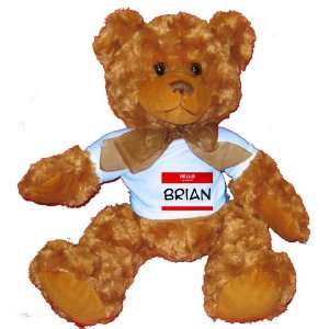  my name is BRIAN Plush Teddy Bear with BLUE T Shirt Toys & Games