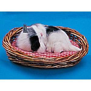 Cat XS Sleeping W/ Basket Decoration Collectible Kitty 