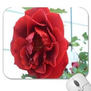   75 Designer Mouse Pads   Flowers Roses (MPRO 032)