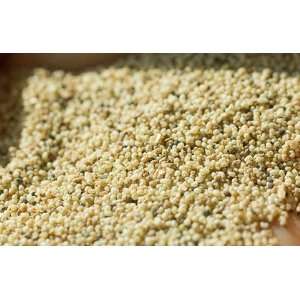 Indian Spice Poppy Seeds 14oz  Grocery & Gourmet Food