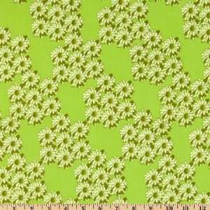 45 Wide Zazu Crush Lime Fabric By The Yard tina_givens 