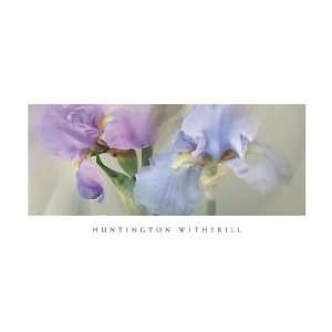  Iris #22 Huntington Witherill Flowers Floral Print 36x18 