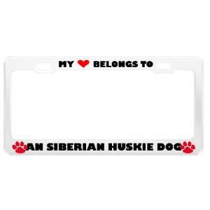  An Siberian Huskie Dog Pet White Metal License Plate Frame 