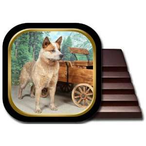  Australian Cattle Dog Coaster Set