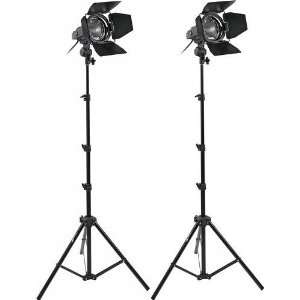  Impact Qualite 300 Focusing Flood 2 Light Kit (120VAC 