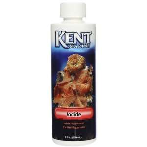  Kent Marine Super Iodide   8 oz (Quantity of 6) Health 