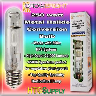 250 watt mh 6500k conversion bulb brand new high output 22000 lumens 