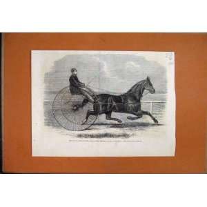  1861 Jackey Winner Aintree Trotting Race Liverpool