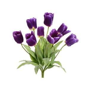  20 Tulip Bush x8 Purple (Pack of 6) Patio, Lawn & Garden