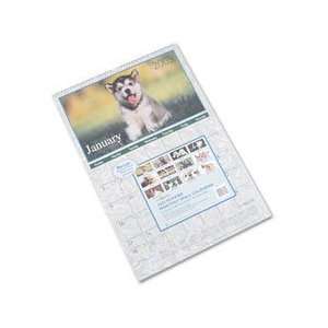   Animals 2009 Monthly Wall Calendar, Large Puppies
