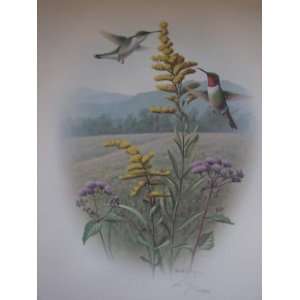  Ron Louque  Ruby Throated Hummingbird  Signed & Numbered 