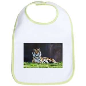  Baby Bib Kiwi Bengal Tiger Stare HD 