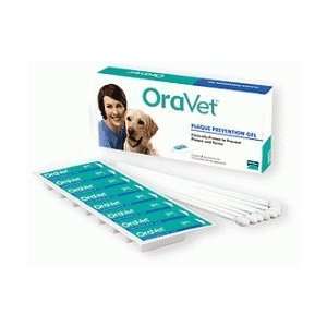  OraVet   8 Weeks Home Care Kit ** Everything 