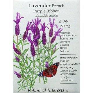 Lavender French Purple Ribbon Seeds 100 Seeds