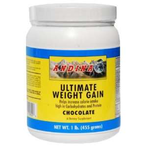  Ultimate Weight Gain/1 lb/Chocolate Health & Personal 