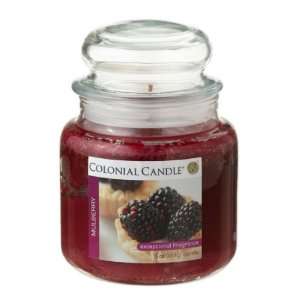    Pack of 4 Mulberry Aromatic Jar Candles 15oz