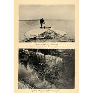  1912 Print Fishing Yellowstone National Park Lake Trout 