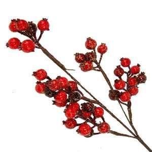  Red Crackle Berries