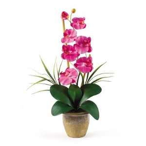    DP Phalaenopsis Silk Orchid Arrangement in Dark Pink
