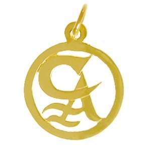 Cocaine Anonymous Initial Pendant #58 16, 5/8 Wide and 7/8 Tall 